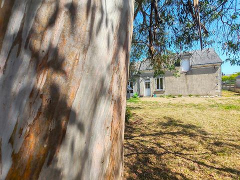 Investissement locatif : Maison de type 4 , avec jardin à 10 minutes de La Flèche !