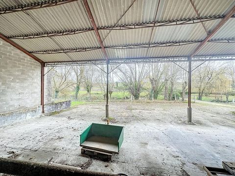 photo no. 13