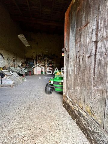 photo no. 19
