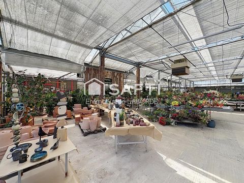photo no. 11