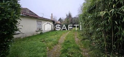 photo no. 1