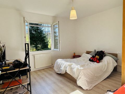 photo no. 8