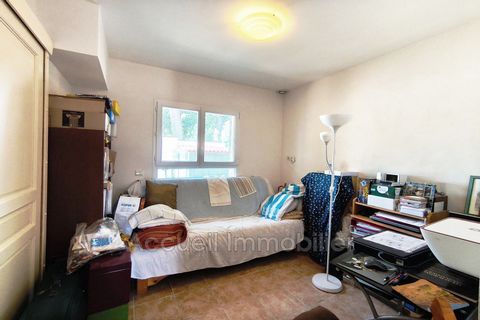 photo no. 7