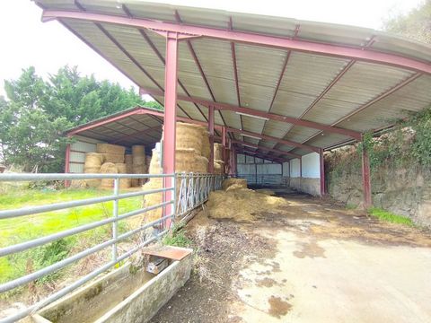 photo no. 16