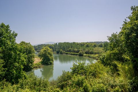 photo no. 2