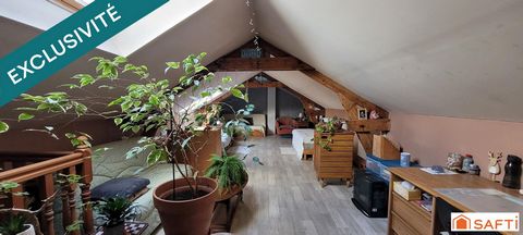 photo no. 15