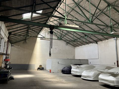photo no. 8