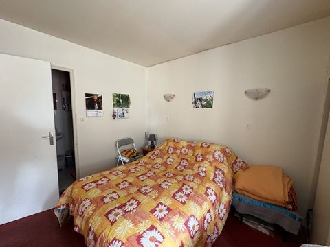 photo no. 11