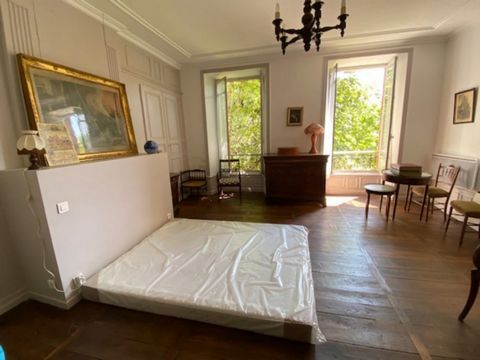 photo no. 19