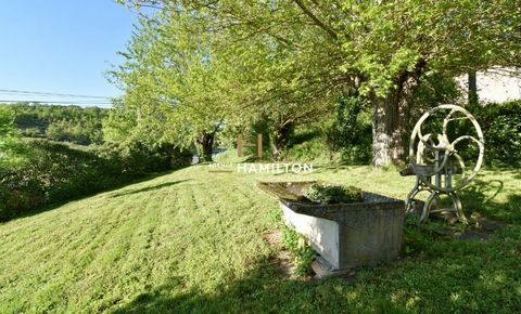 photo no. 13