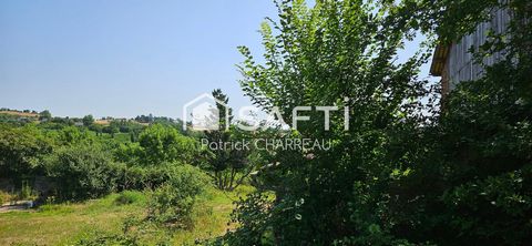photo no. 7