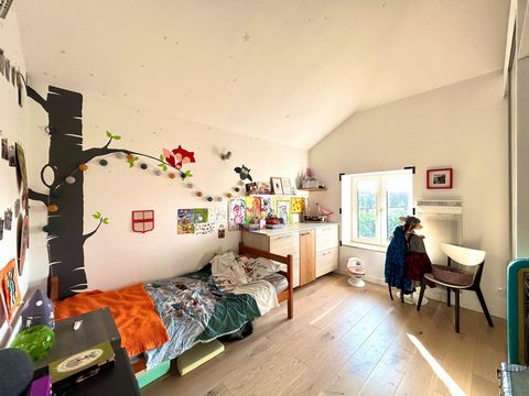 photo no. 11