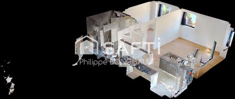 photo no. 7