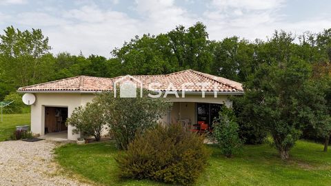 photo no. 9