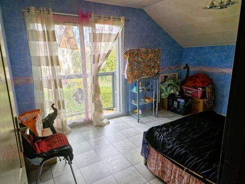photo no. 12