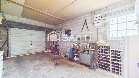 photo no. 15