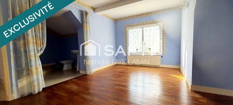 photo no. 12