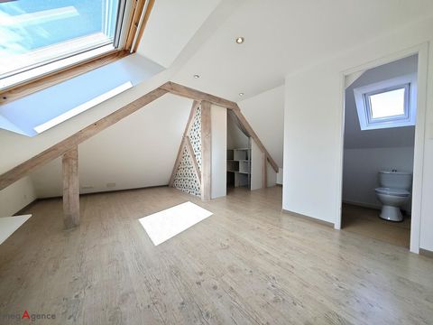 photo no. 8