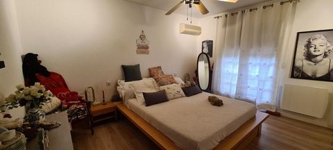 photo no. 13