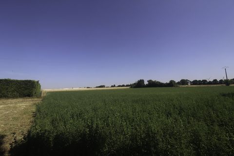 photo no. 2