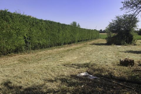 photo no. 3