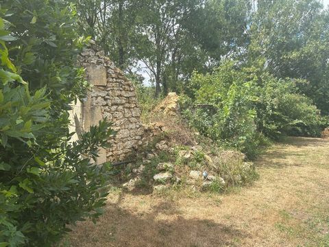 photo no. 13