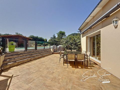 photo no. 16