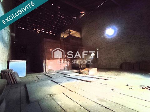 photo no. 12