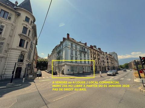 photo no. 2