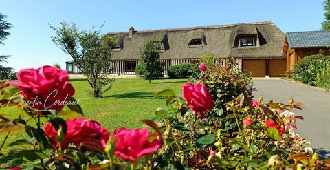 Sous le chaume, le charme opère