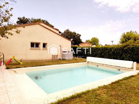 photo no. 10