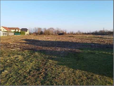 EXCEPTIONNEL - TERRAIN CONSTRUCTIBLE DE 7800 m² À CERNAY