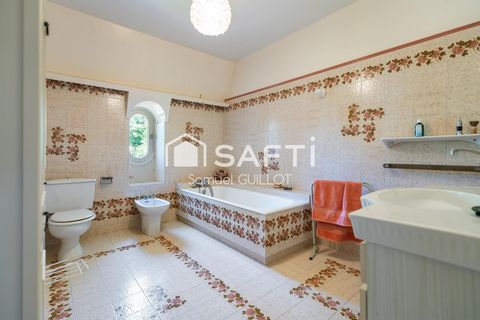 photo no. 13