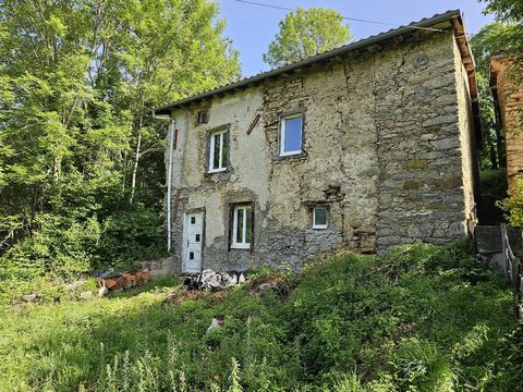 Maison à rénover avec jardin