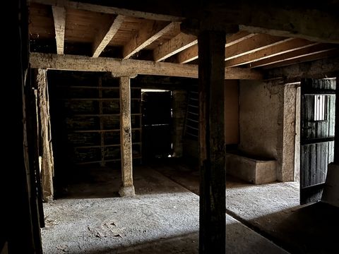 photo no. 9