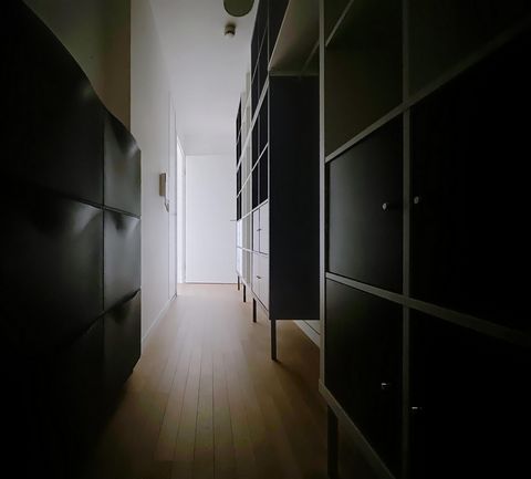 photo no. 11