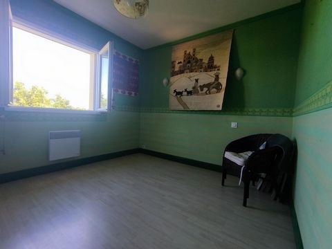 photo no. 11