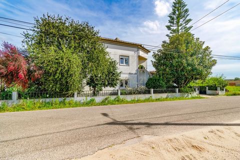 Descubra o seu refúgio ideal nesta moradia encantadora situada em Marinhais, Santarém. Com uma área generosa de 4980m² de terreno e uma espaçosa moradia de 220m², este é o lar perfeito para quem procura tranquilidade, conforto e qualidade de vida. Lo...