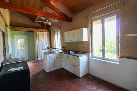 photo no. 4