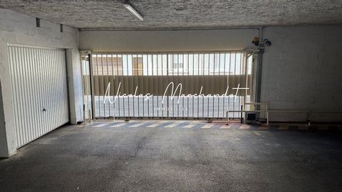 photo no. 11