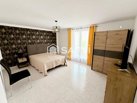 photo no. 7