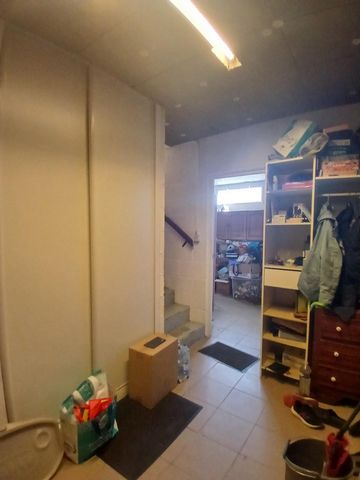 photo no. 11