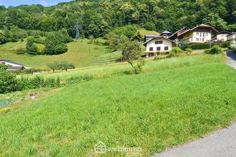 photo no. 14