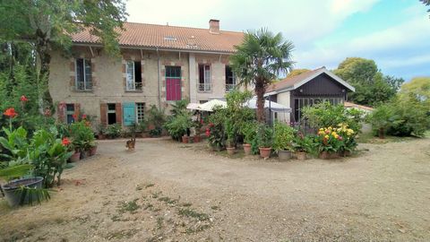 photo no. 19