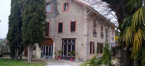 photo no. 21