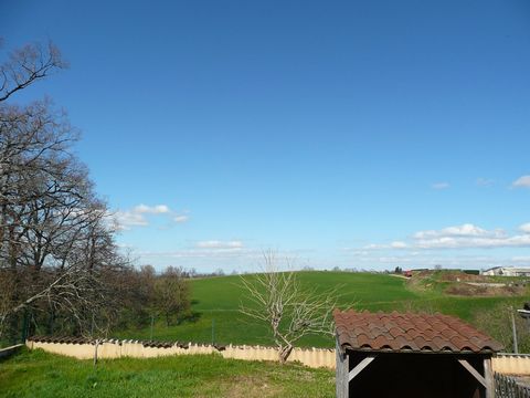 photo no. 17