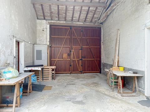 photo no. 10