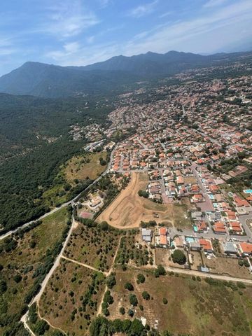 photo no. 6
