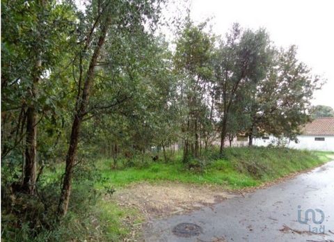 Excelente terreno com cerca de 62 metros de frente. Inserido em área urbanizável de acordo com o pdm da Câmara Municipal de Ovar. Permite construir moradias. Está próximo de todos os acessos principais A1 e A29 , próximo de escolas e zona industrial....