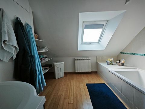 photo no. 8